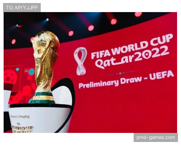 爱尔兰足球世界杯征程：重温传奇时刻，展望未来新篇章